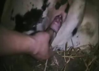 Sweet beast in the awesome bestiality sex action
