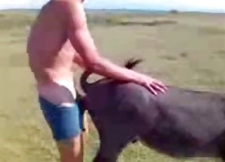 Mule is getting nailed from behind