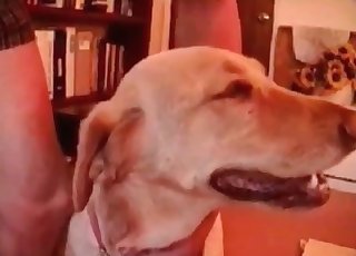 Dude shows his mutt's cute cooch