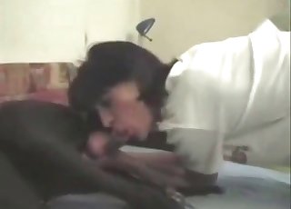 Brunette blows a big-dicked black dog