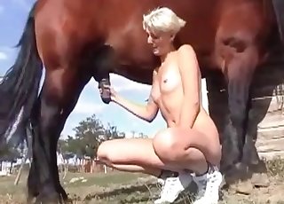 セクシーなブロンドが種牡馬の太いペニスを素手で弄り、激しく吸い上げる愛らしい姿を捉えた美しいクローズアップショット