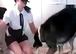 Zoo Porn Girl Video