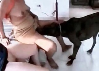 Clown wig bitch enjoying bestiality