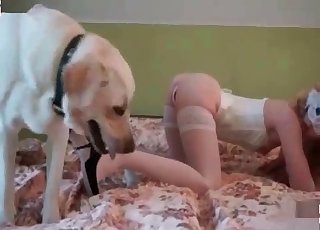 Beautifull Garl And Dog Xxxx Video - Beautiful Videos / Zoo Zoo Sex Porn Tube / Most popular Page 1