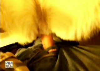 My dick looks so nice in doggy tight ass