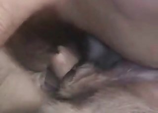 Sweet amateur bestiality XXX with nice animal