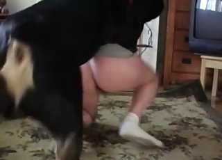 White socks dude getting anally ravaged