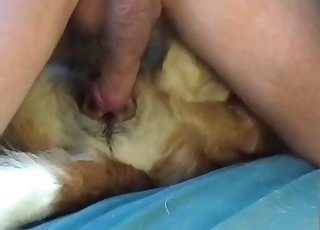 Stunning ZOO XXX porn session with wife