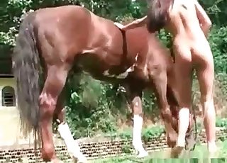 Horse is getting in the awesome bestiality