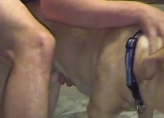 Sweet doggy penetrated hard in doggy pose