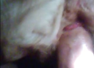 इस जानवर को कुछ बदला लेना चाहिए