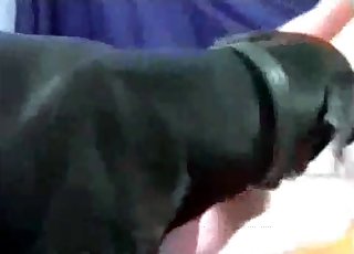 White lingerie slut banged by a dog