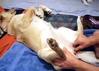 Playing with that succulent dog cunt