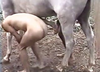 Sexy stallion penetrated her wet cunt