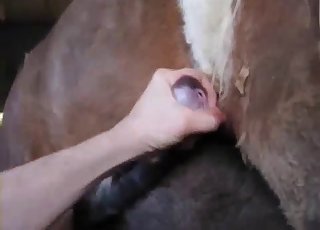 Extremely passionate bestiality here