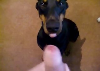 Doggy