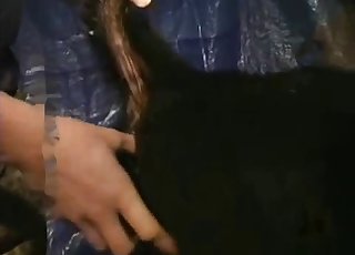 Zoofil, köpeğin sıkı anüsünü uyarıyor