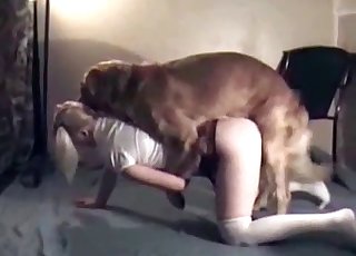 Blonde gets fucked doggy style here