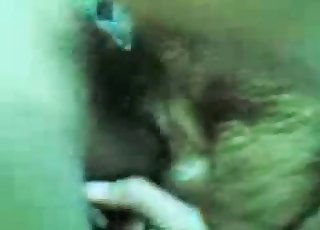 Doggy licks my boner like a professional