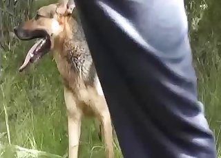 Dude lets this dog fuck his asshole