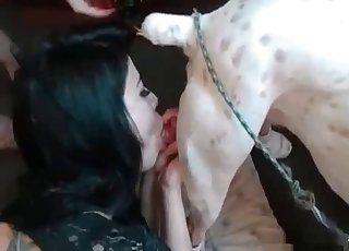 Cur fucks a lovely zoophile