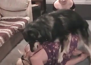 Sweet dog is giving me a cunnilingus