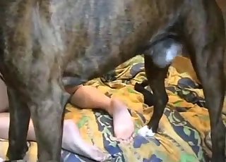 Κοντινό πλάνο με μια ζοofil γκόλφ