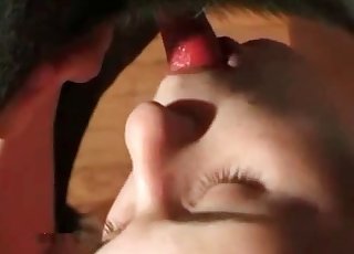 Elle suce avec bonheur la verge du chien, langue humide et mouvement passionné