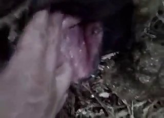 Amazing POV action with animals