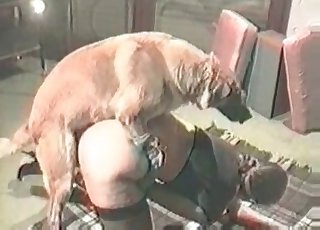 Cute dog enjoying juicy twat