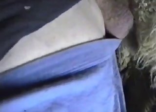 Dude gets to fuck a sexy sheep