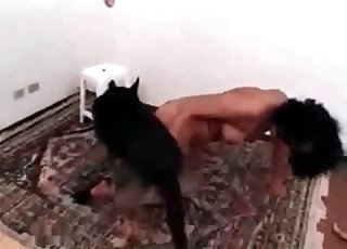 Jebanje sa životinjama video seks sa životinjama