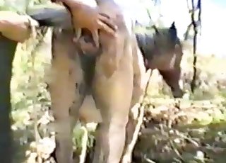 Close-ups and more in a bestiality vid