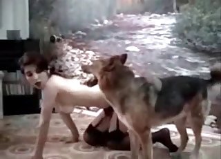 Trained shepherd fucked her wide ass