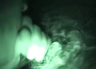 Gece görüşüyle çılgın bir hayvan sevgisi atmosferi, terli deri ve ıslak burnun yakın planı