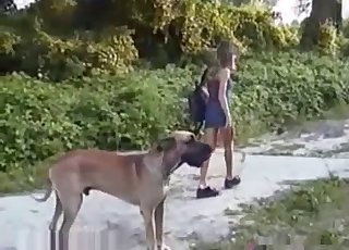 Dress-wearing babe stalking a dog