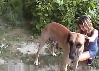 Dress-wearing babe stalking a dog