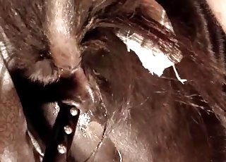 Violent close-up bestiality here
