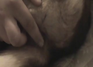 Close-up madness in a hardcore vid