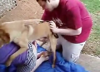 Porn video for tag : Husband helps dog knot wife - Page 14