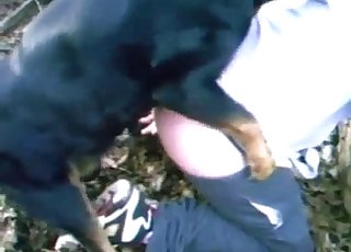 Filthy black dog hardly banged her cunt