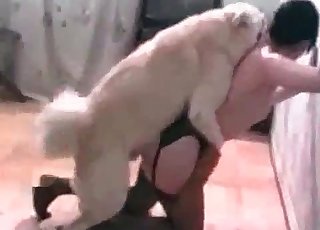 美しい黒髪美女と動物の素晴らしいベストリアリティ、濃厚な愛撫と激情