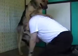 Trained shepherd fucked a big bottom