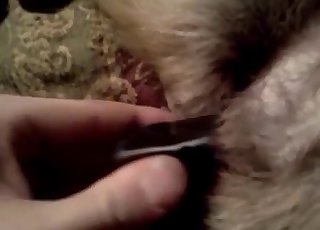 Latex, lust, and unhinged bestiality