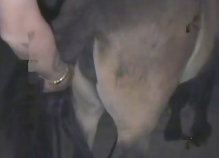 Close-up action with a hung stud