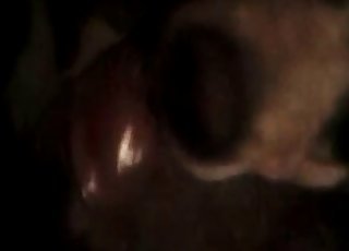 Extreme action in a dark bestiality vid