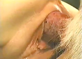 Close-up action to blow your load to