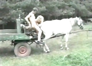 Hesten får sex i stedet for å bære