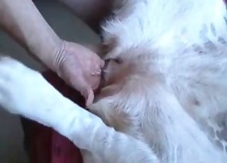 По миссионерски