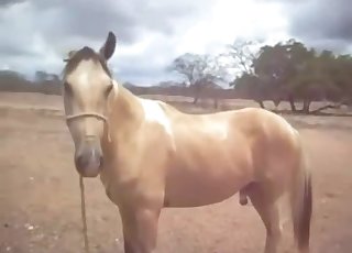 Stallion butt looks so freaking fuckable